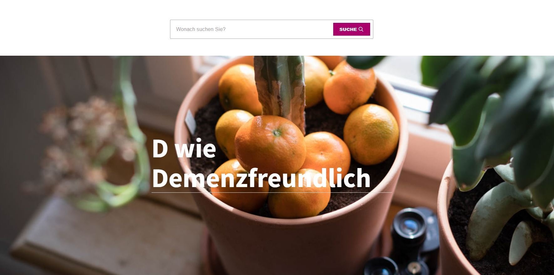 Mandarinen in Blumentopf mit Kaktus; Beschriftung: D wie demenzfreundlich